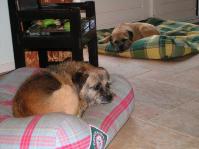 Klik op de foto voor groter formaat